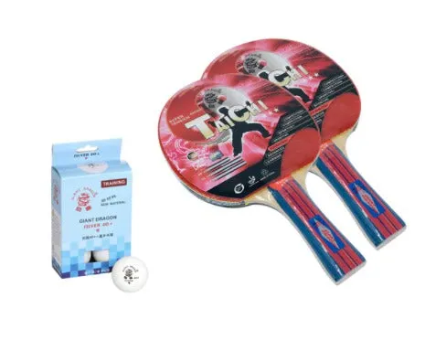 Giant Dragon Outdoor Table Tennis Table   2 Giant Dragon Tai Chi 3 Star Rackets and 6 Giant Dragon Silver