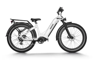 Himiway Zebra / Zebra Step Thru All-terrain Electric Fat Bike