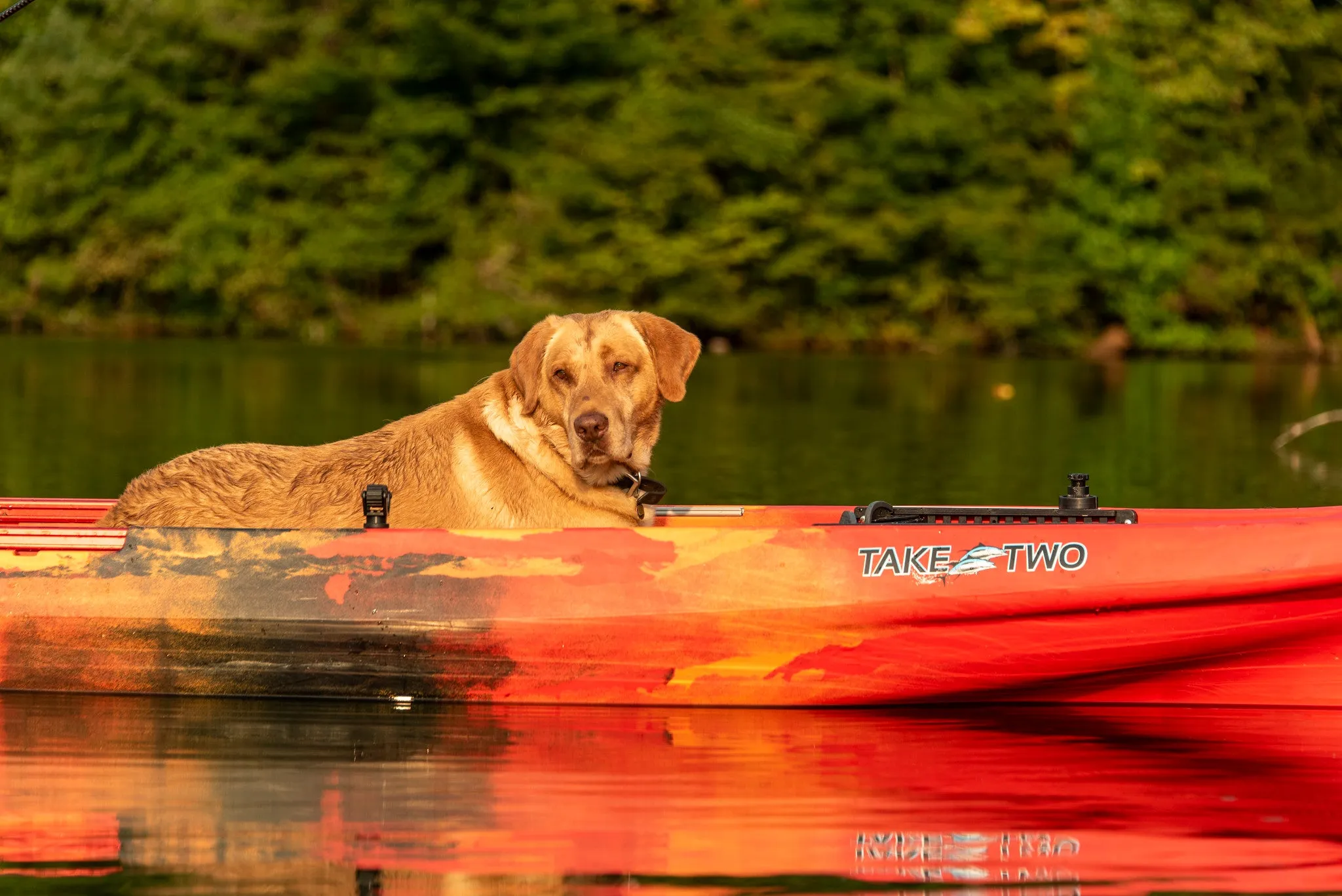 Jackson TakeTwo Recreational Kayak