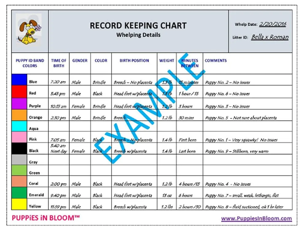 Puppies in Bloom Breeder Record Keeping Charts