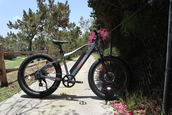 Revi Predator 500W Electric Mountain Bike